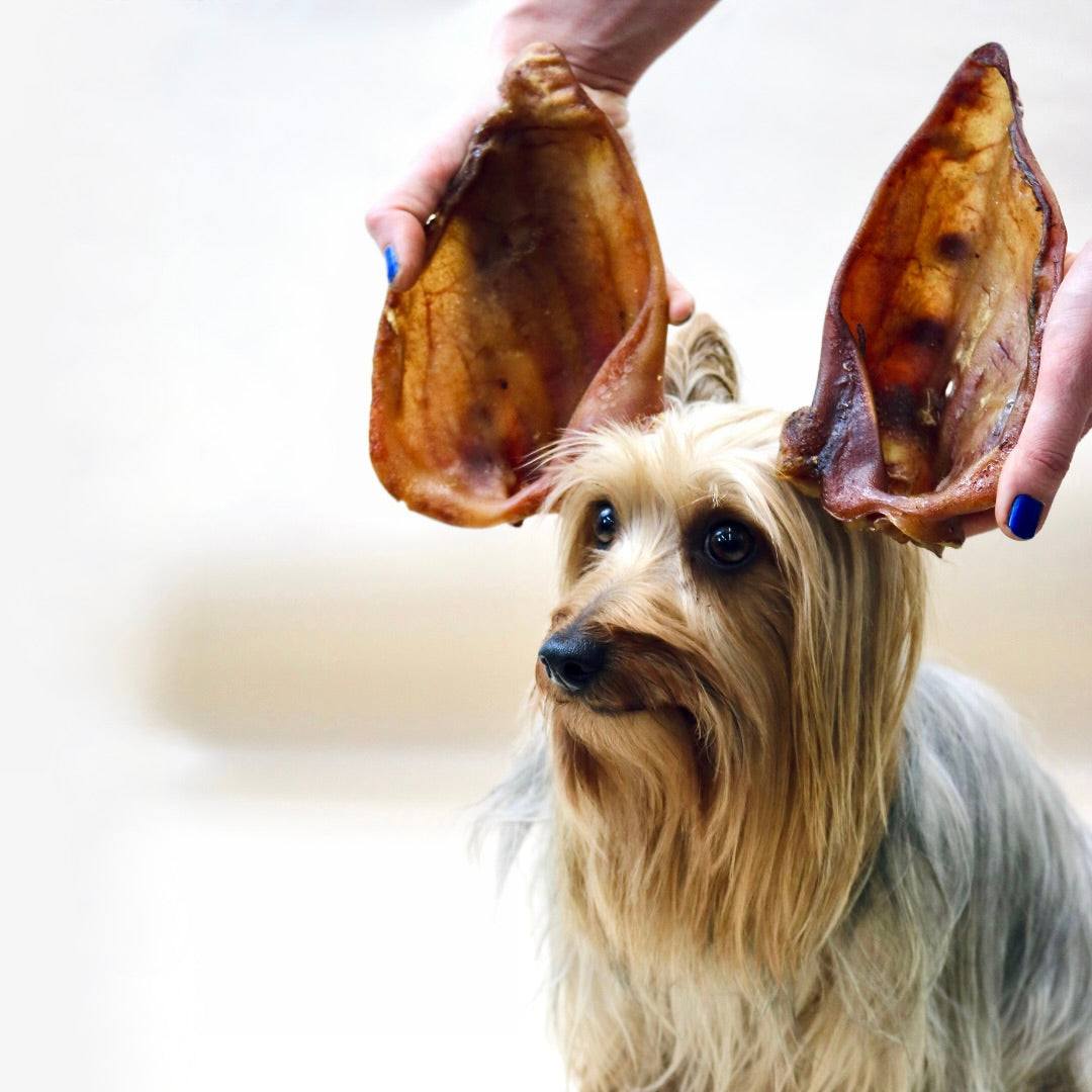 are pigs ears ok for dogs uk