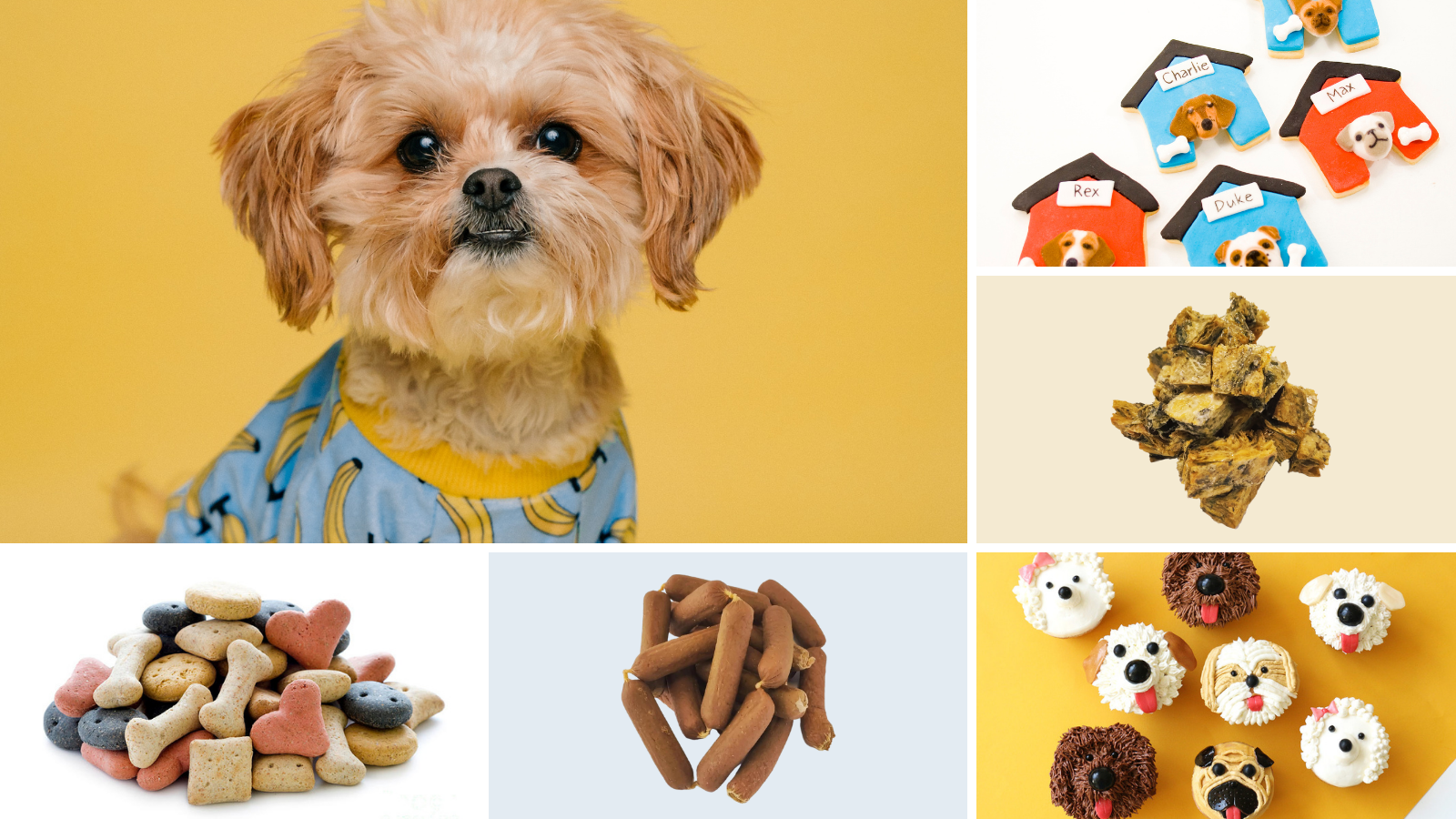 Check Out the Best Healthy Dog Treats for Puppies www.naturaltreats