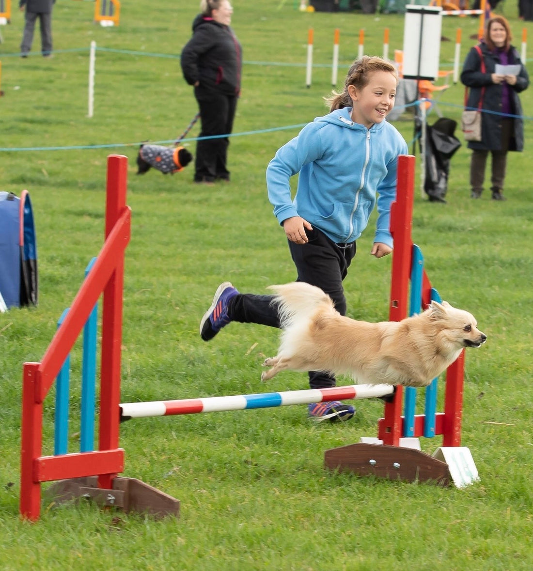 Crufts - Thursday 10th March