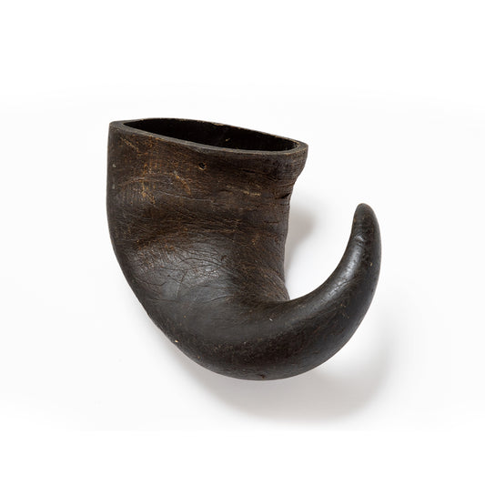 Buffalo Horns (1pc)