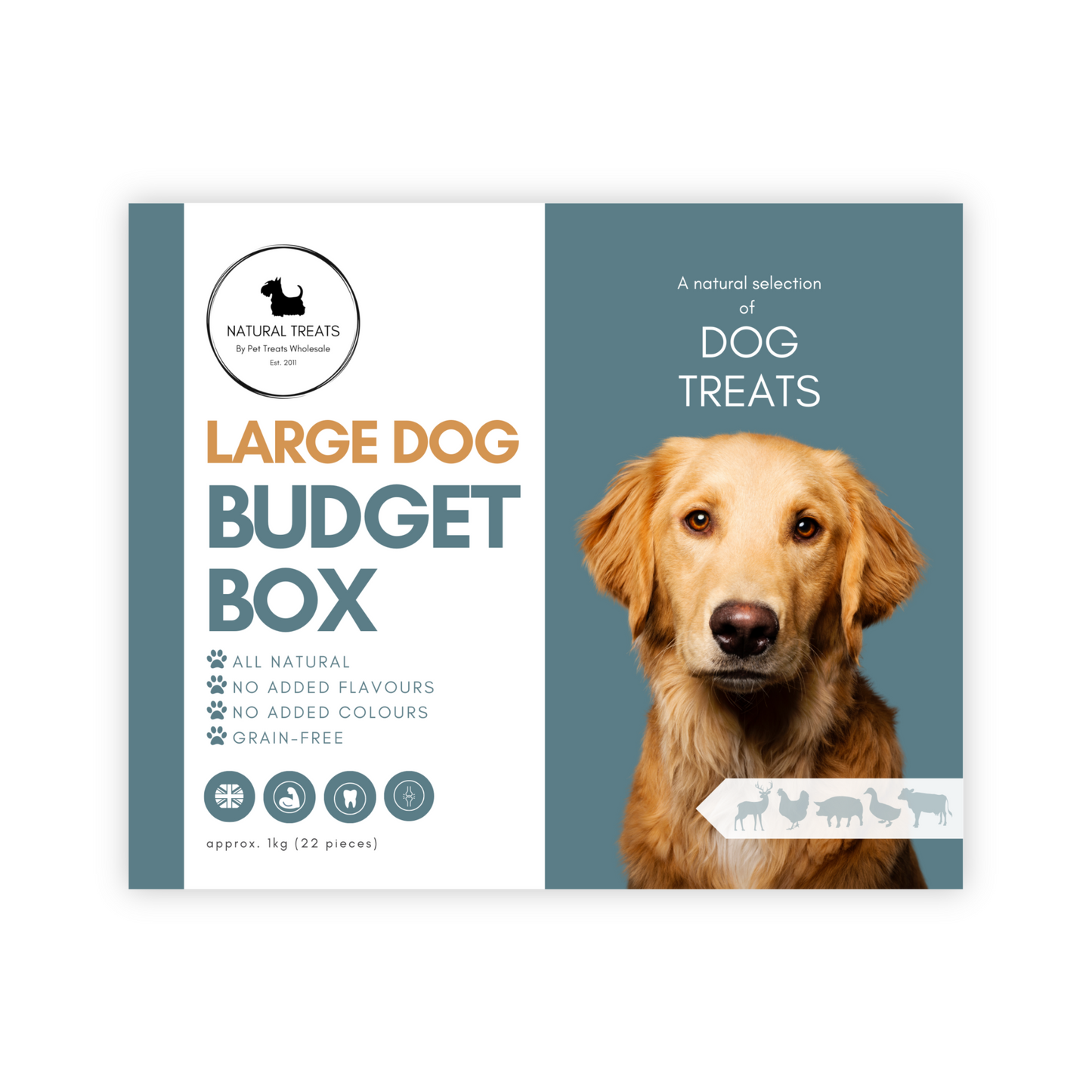 Budget Box (Large Dogs)