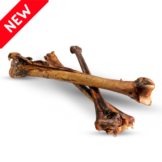 Long Ostrich Bones