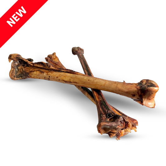 Long Ostrich Bones